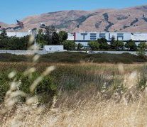 Tesla takes a short seller to court, claiming he's stalking