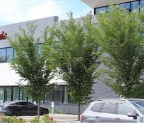 AutoCanada posts $4.1M net loss on U.S. costs in Q1